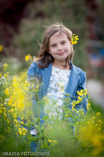 imadia-7001335