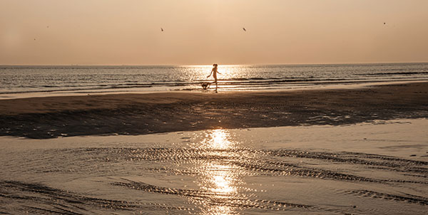 kamer 2 cognac klein