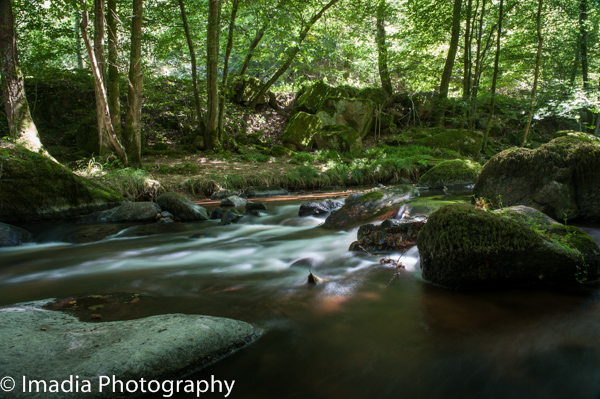 imadia-0069