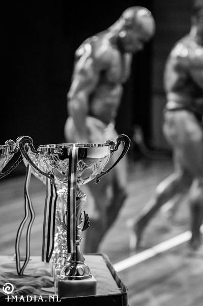 imadia-0307