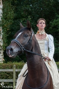 imadia horse event-1412 