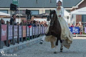 imadia horse event-1452 