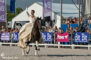 imadia horse event-1464 