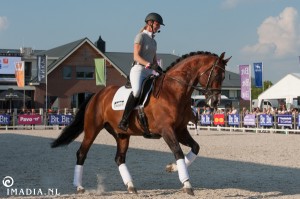 imadia horse event-1491 