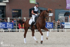 imadia horse event-1501 