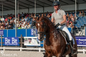 imadia horse event-1512 