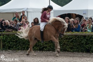 imadia horse event-1684 