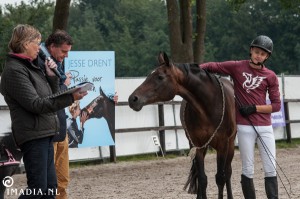 imadia horse event-1716 