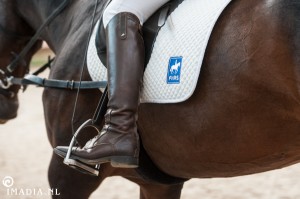 imadia horse event-1868 