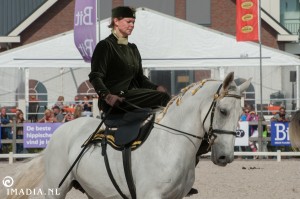 imadia horse event-1924 