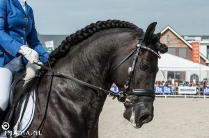 imadia horse event-1958 