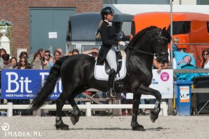 imadia horse event-1970 