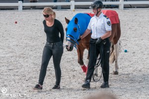 imadia horse event-20107   