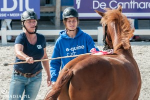 imadia horse event-20145   