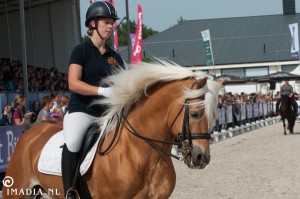 imadia horse event-2015 