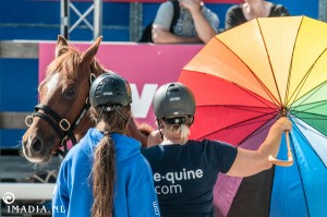 imadia horse event-20163   