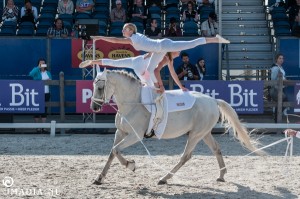 imadia horse event-20256   