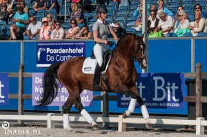 imadia horse event-20329   