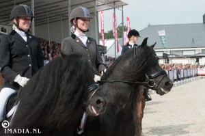 imadia horse event-2038 