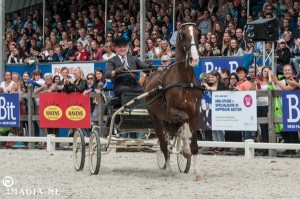 imadia horse event-2102 