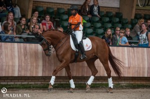 imadia horse event-2251 