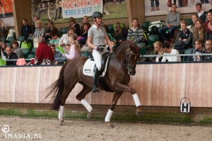 imadia horse event-2479 