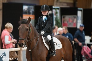 imadia horse event-2491 